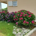 Anita & Mario Home