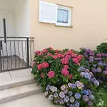 Anita & Mario Home